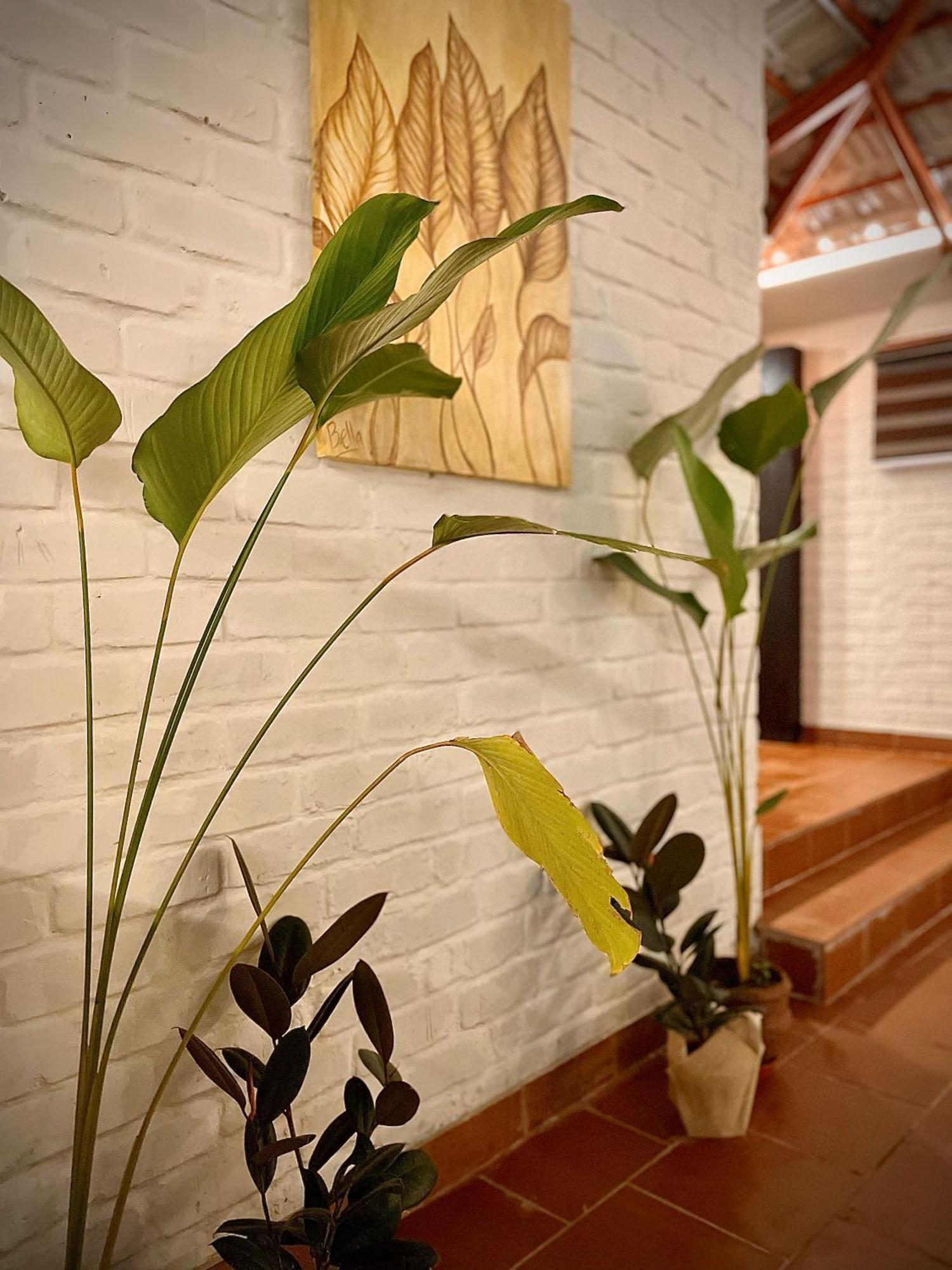Boho'S Hotel Варкала Экстерьер фото